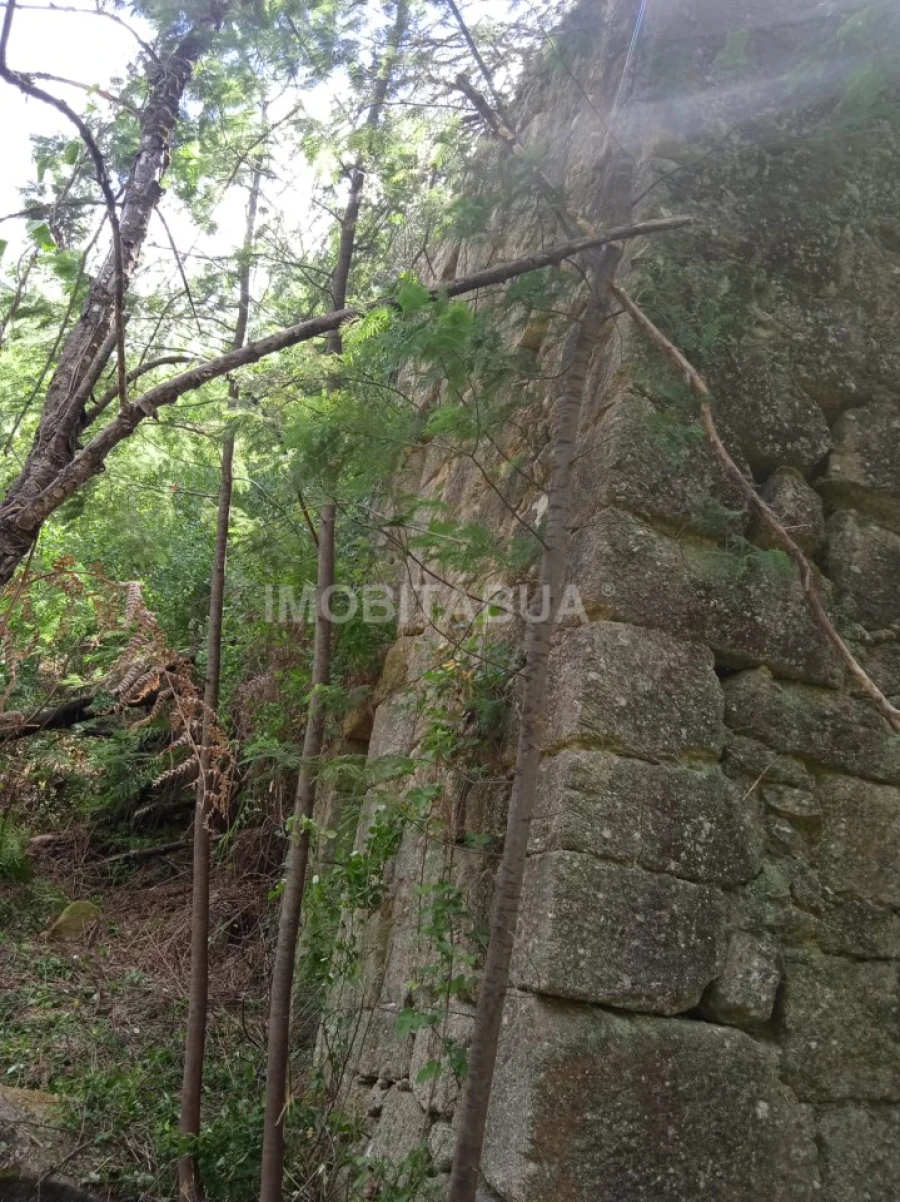 Terreno para Venda em Travanca de Lagos Foto 3