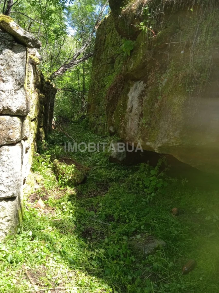 Terreno para Venda em Travanca de Lagos Foto 6
