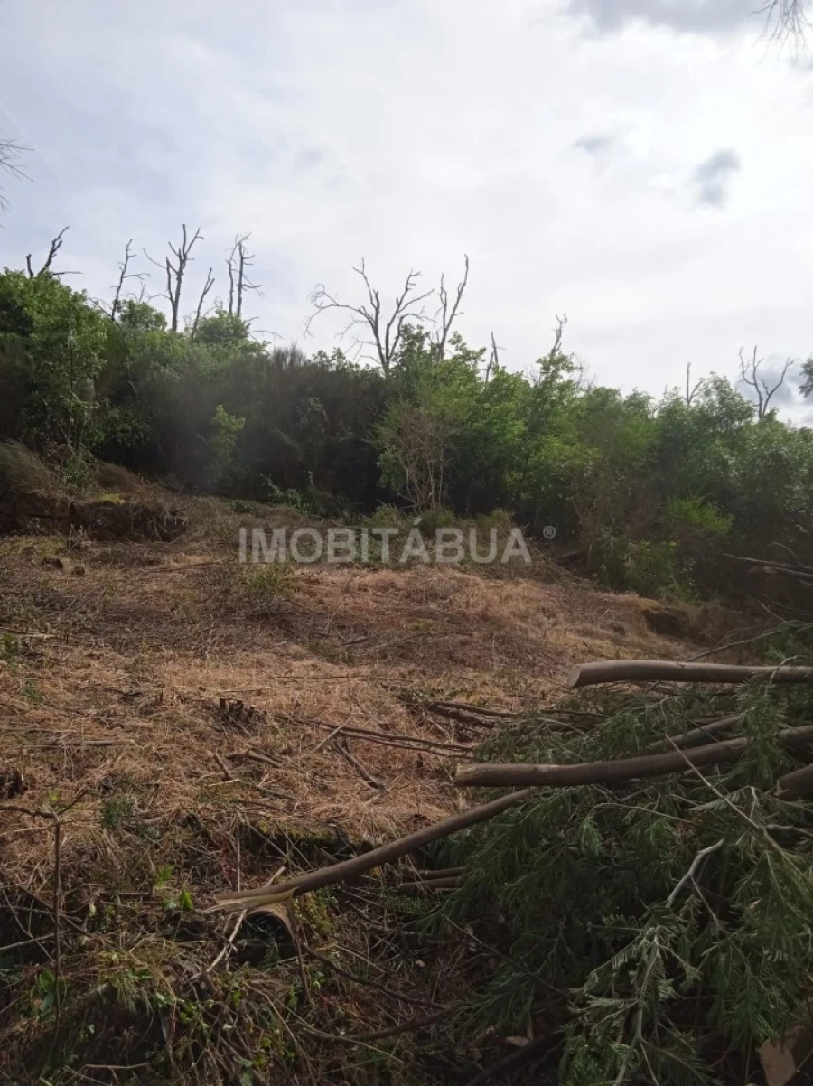 Terreno para Venda em Travanca de Lagos Foto 8