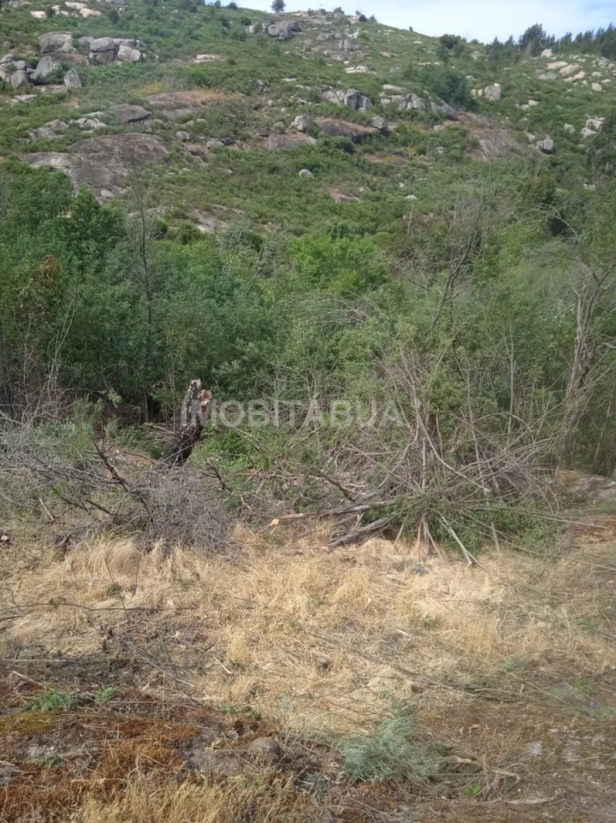 Terreno para Venda em Travanca de Lagos Foto 10