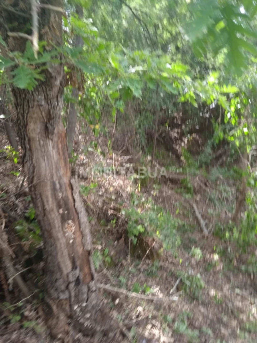 Terreno para Venda em Travanca de Lagos Foto 15