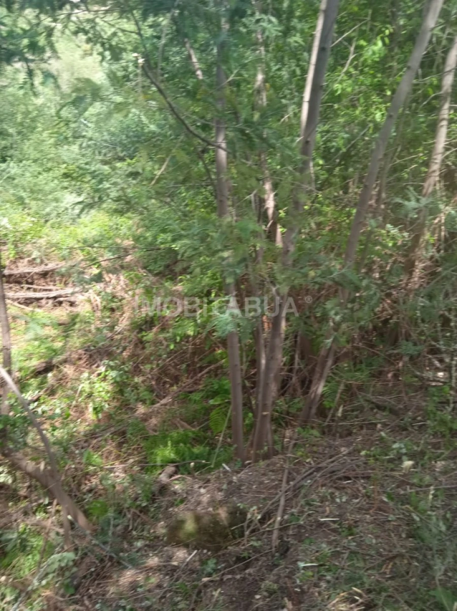 Terreno para Venda em Travanca de Lagos Foto 16