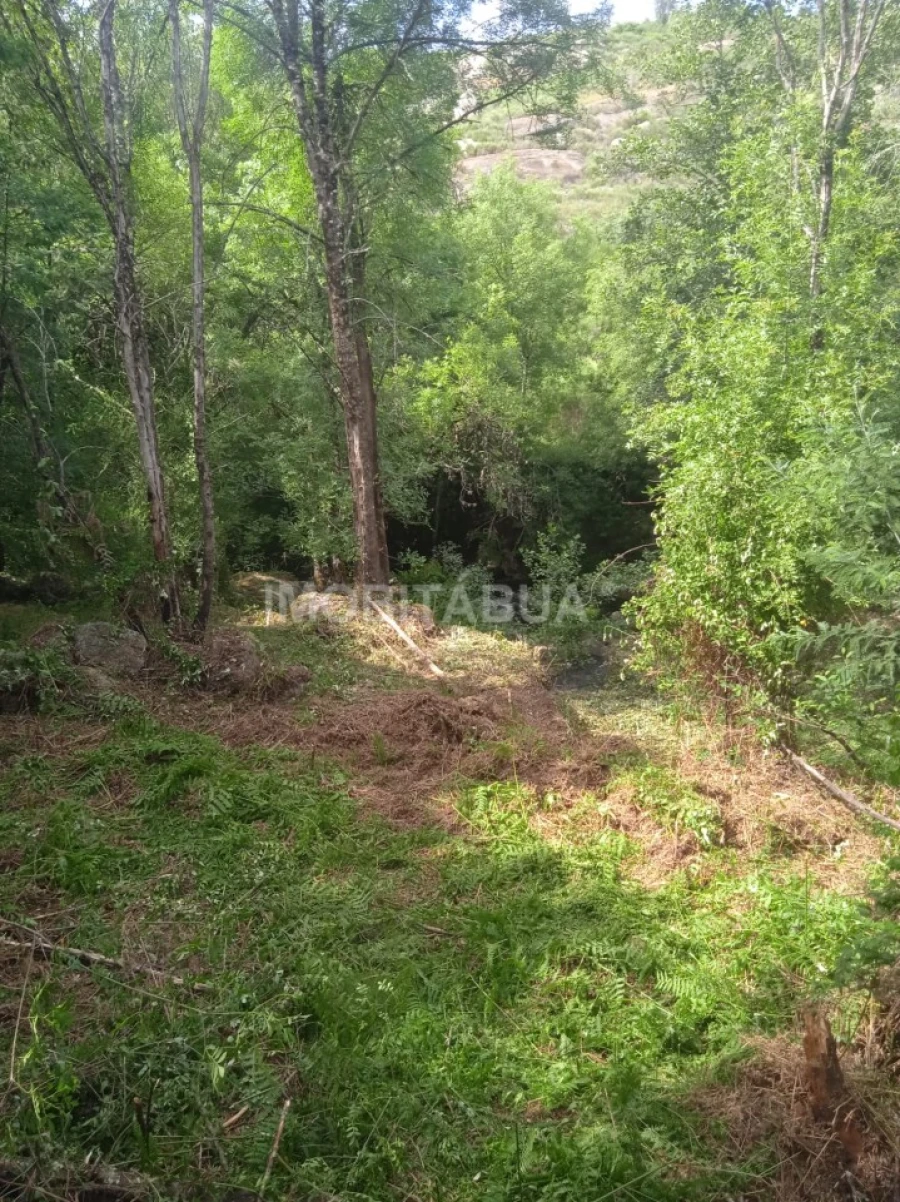 Terreno para Venda em Travanca de Lagos Foto 18