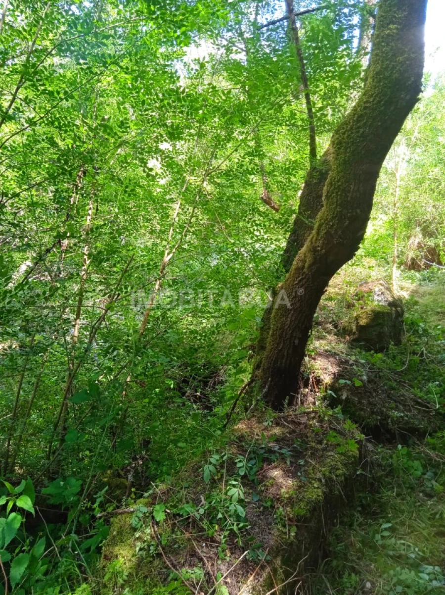 Terreno para Venda em Travanca de Lagos Foto 22