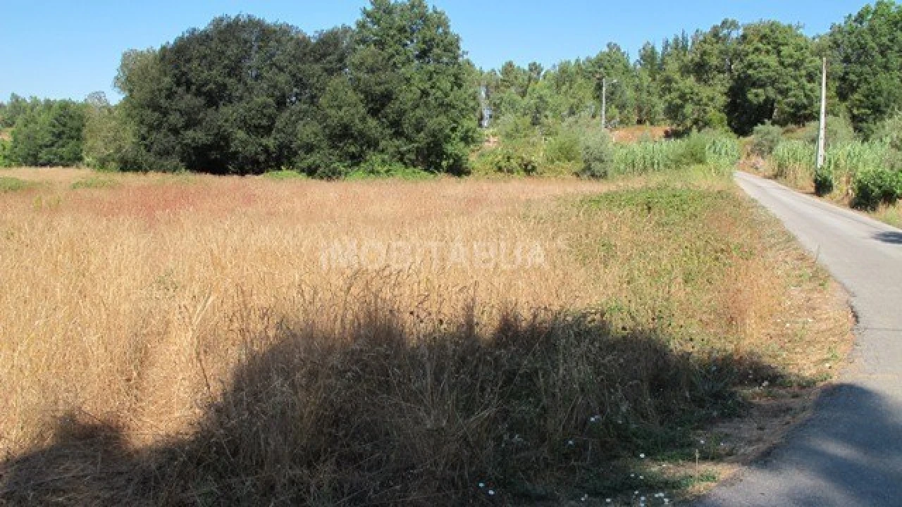 Terreno para Venda em São João da Boa Vista Foto 4