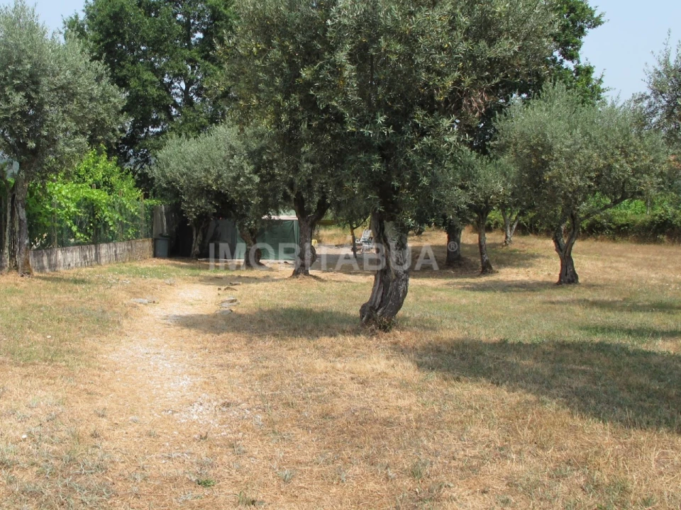 Terreno para Venda em Tabua Foto 3