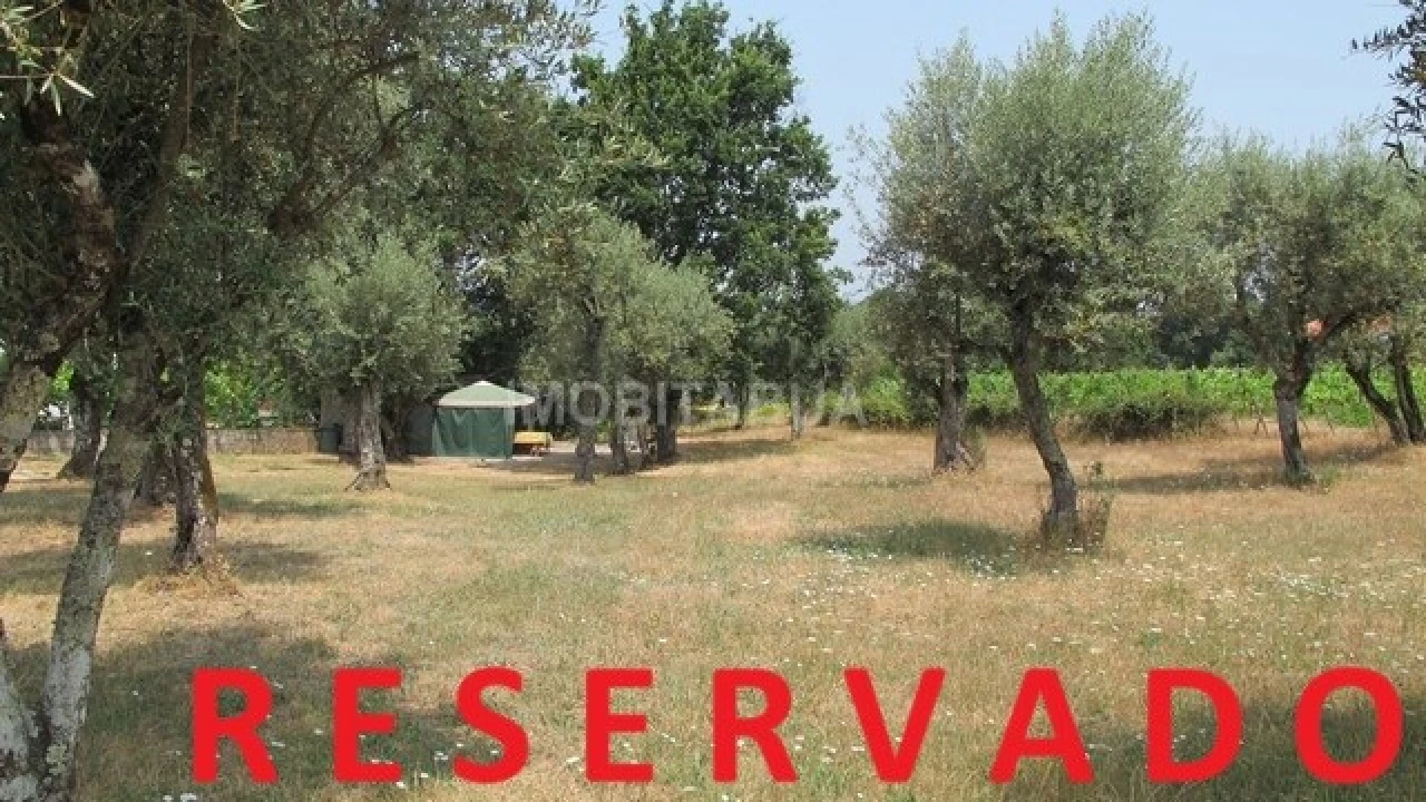 Terreno para Venda em Tabua Foto 1