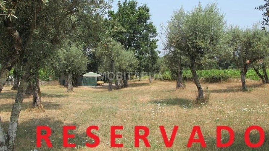 Terreno para Venda em Tabua Foto 1