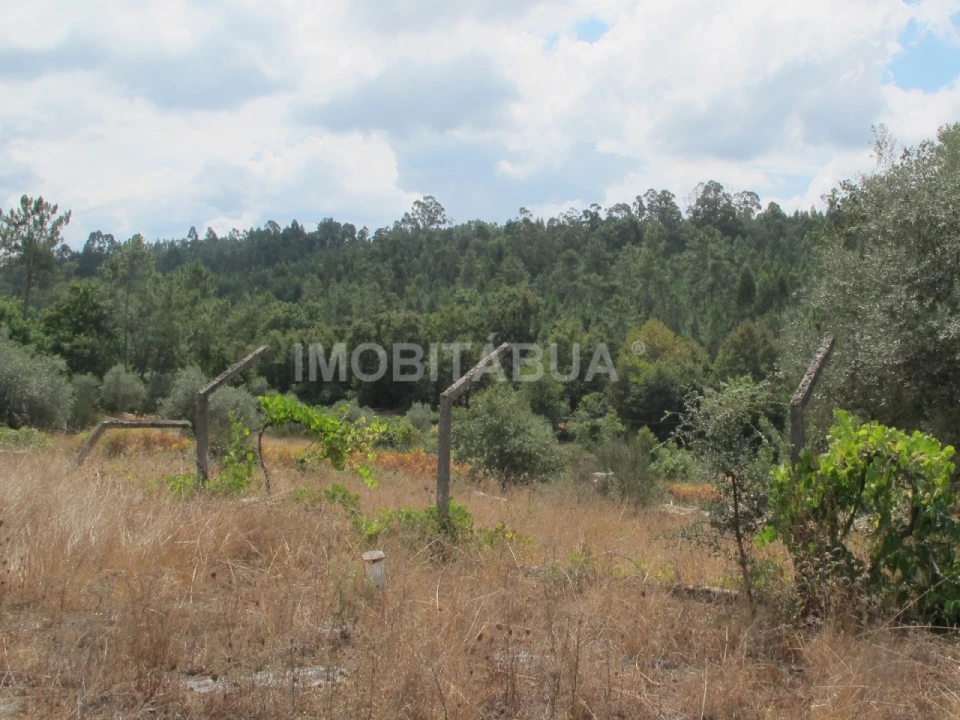 Terreno para Venda em Mouronho Foto 2