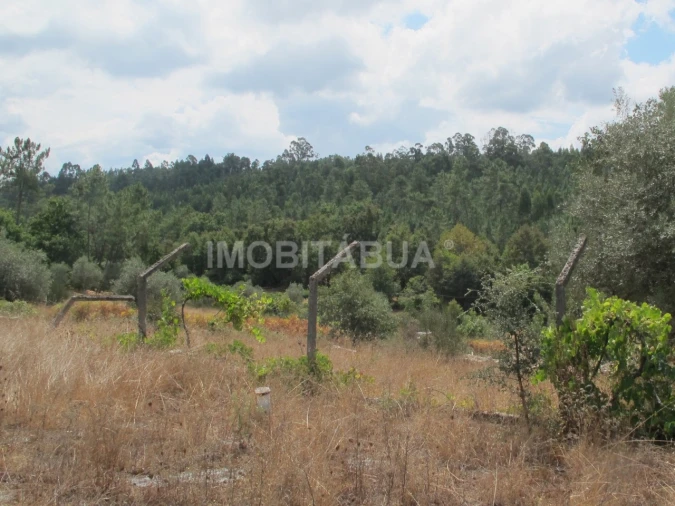 Terreno para Venda em Mouronho Foto 2