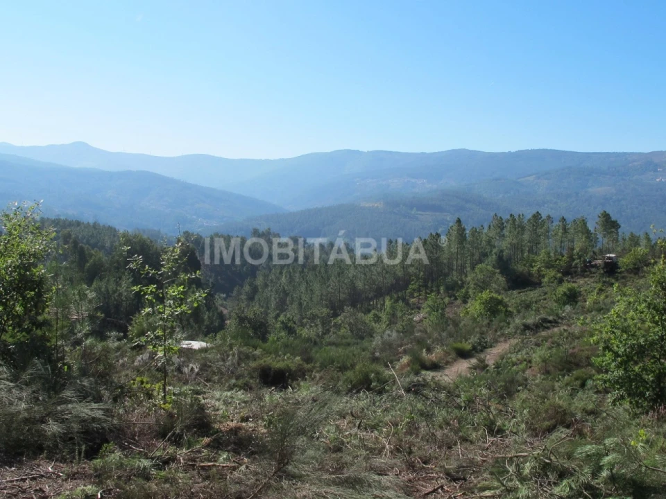 Terreno para Venda em Vila Cova de Alva e Anseriz Foto 3
