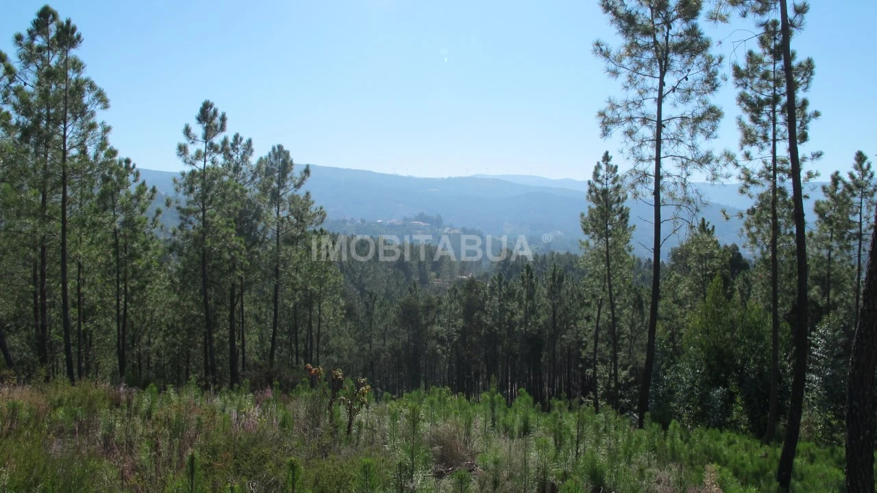 Terreno para Venda em Vila Cova de Alva e Anseriz Foto 4
