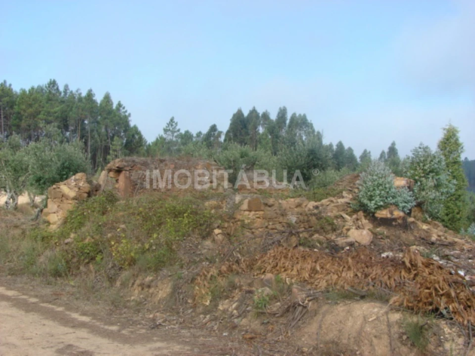 Terreno para Venda em Ázere e Covelo Foto 3