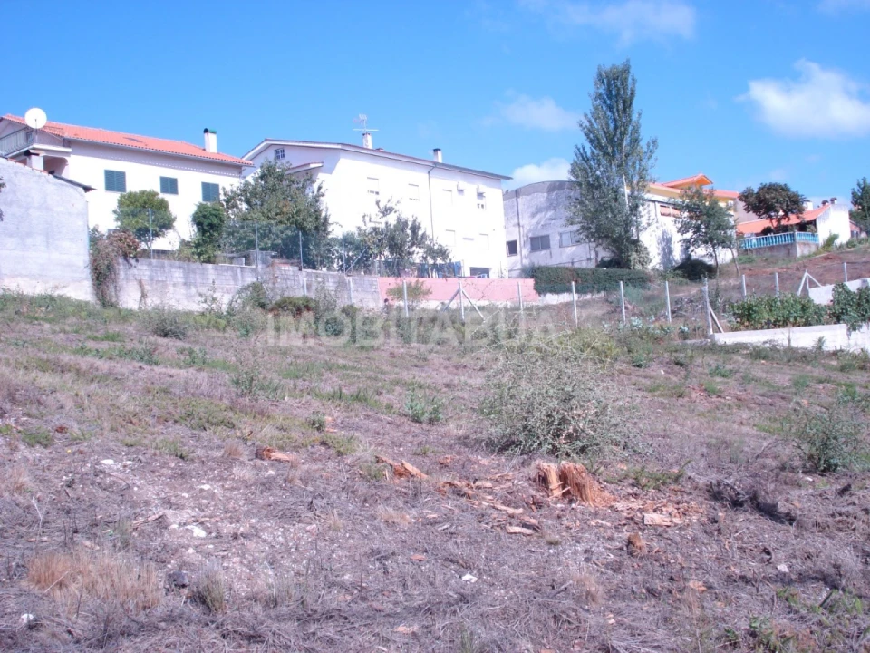 Terreno para Venda em Covas e Vila Nova de Oliveirinha Foto 2