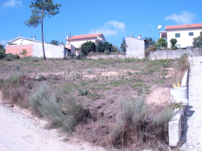 Terreno para Venda em Covas e Vila Nova de Oliveirinha Foto 3