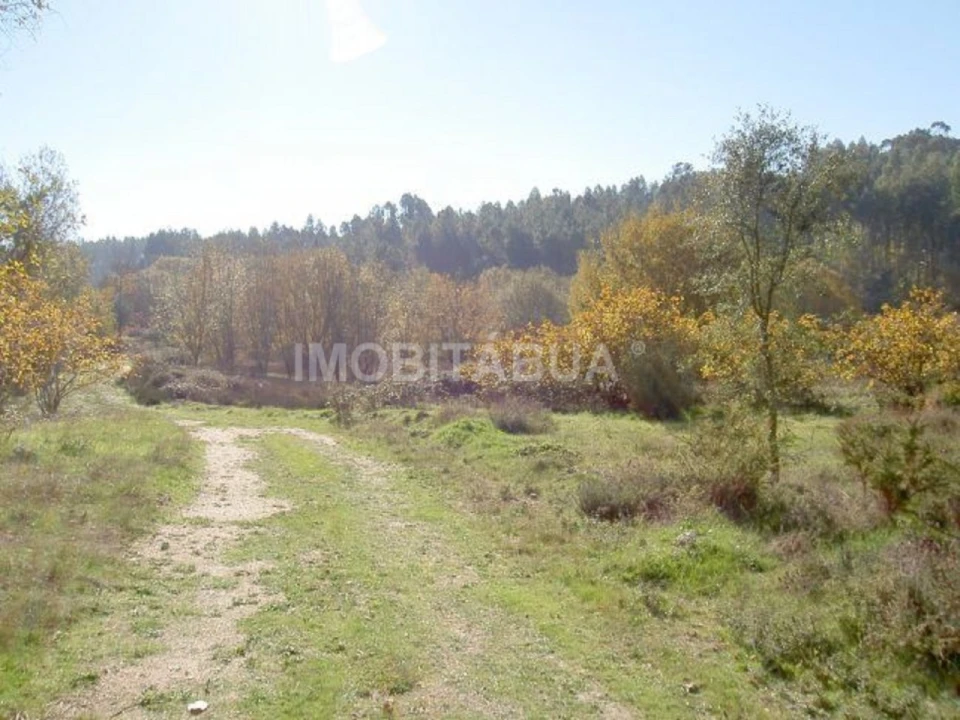 Terreno para Venda em São João da Boa Vista Foto 4