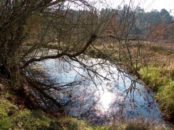 Terreno para Venda em São João da Boa Vista Foto 5