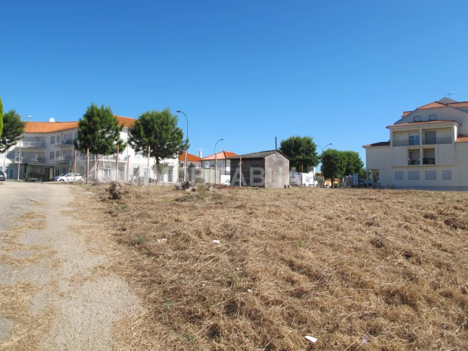 Terreno para Venda em Santa Comba Dão e Couto do Mosteiro Foto 1