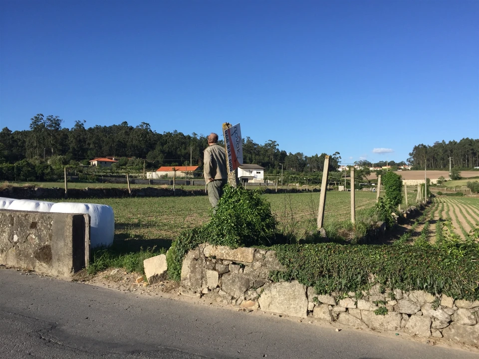 Terreno Agricola ou Rústico para Venda em Negreiros e Chavão Foto 3