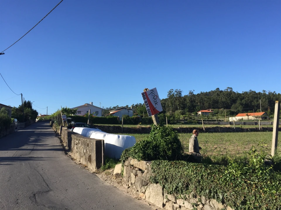 Terreno Agricola ou Rústico para Venda em Negreiros e Chavão Foto 1