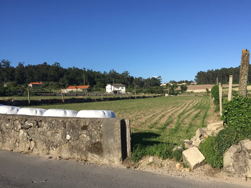 Terreno Agricola ou Rústico para Venda em Negreiros e Chavão Foto 2