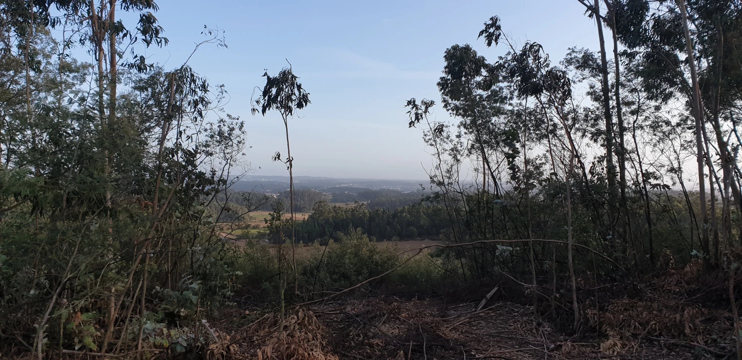 Terreno Misto para Venda em Aver-O-Mar, Amorim e Terroso Foto 3