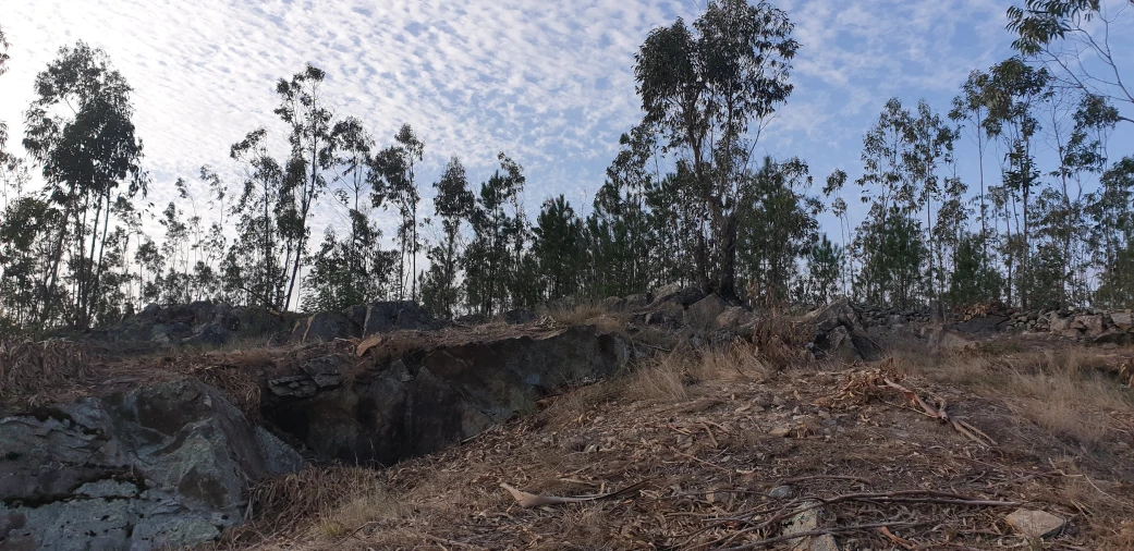 Terreno Misto para Venda em Aver-O-Mar, Amorim e Terroso Foto 6
