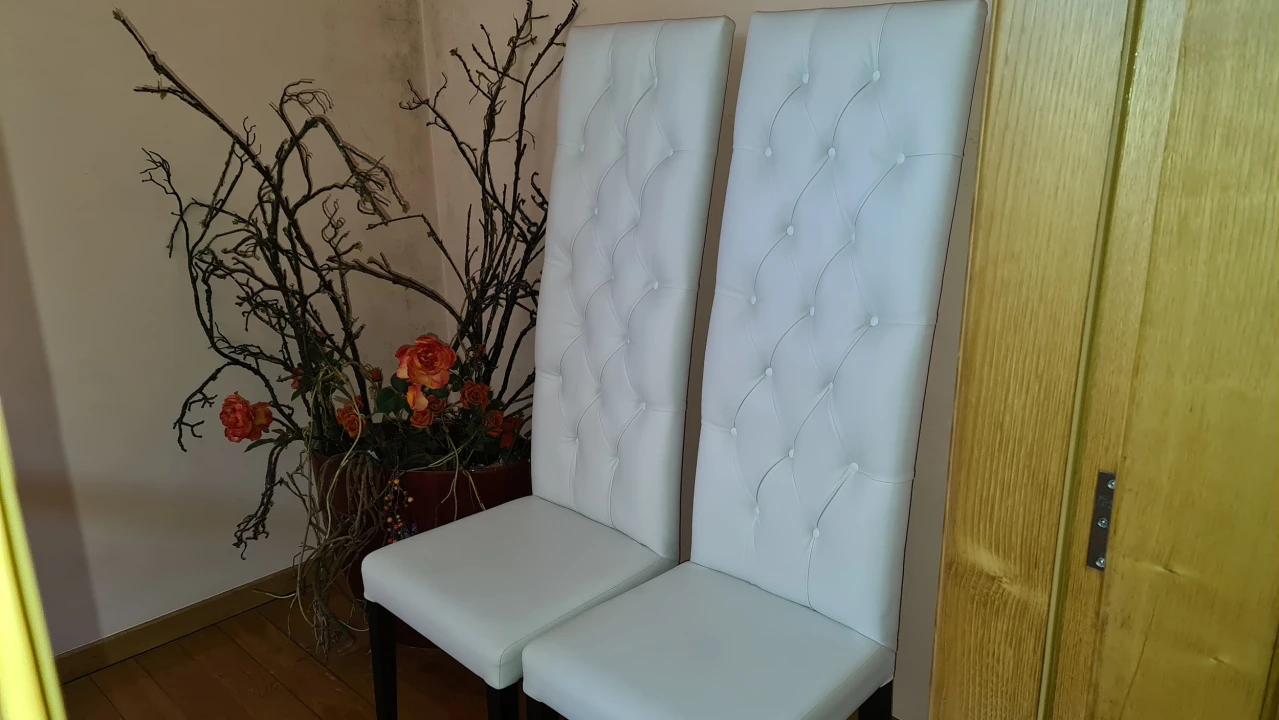 Quinta T0 para Venda em Abade de Neiva Foto 24