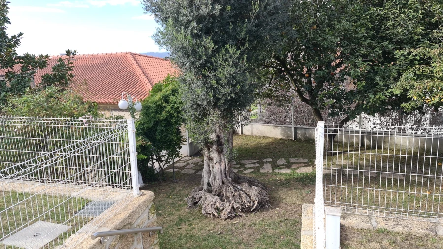 Quinta T0 para Venda em Abade de Neiva Foto 33