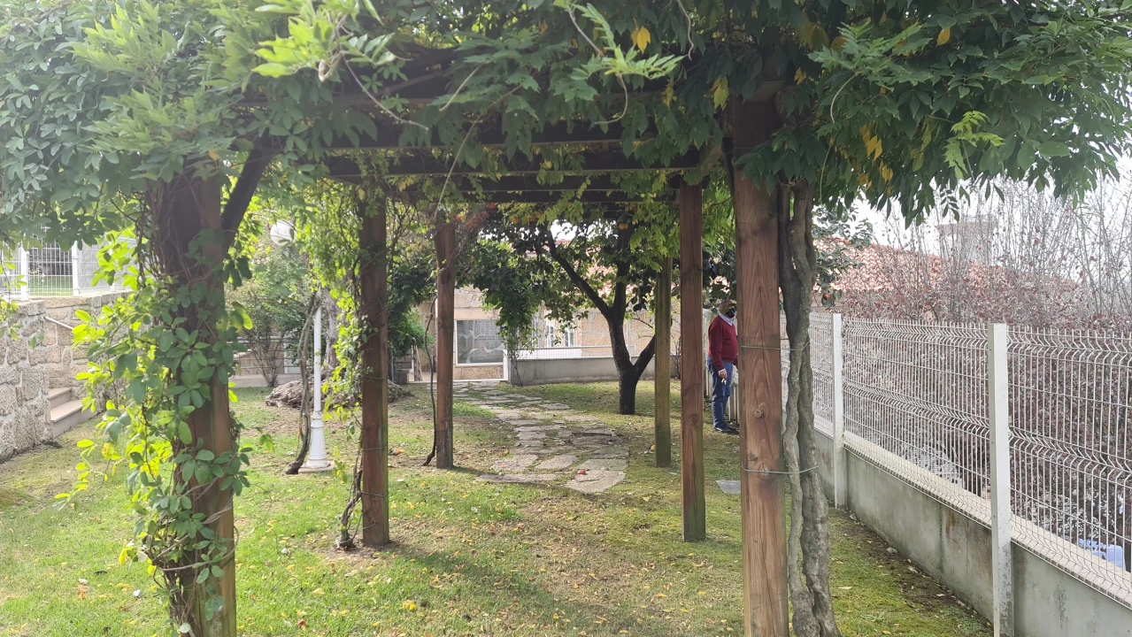 Quinta T0 para Venda em Abade de Neiva Foto 29