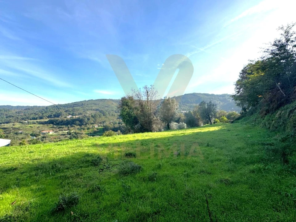 Terreno para Venda em Gondufe Foto 5