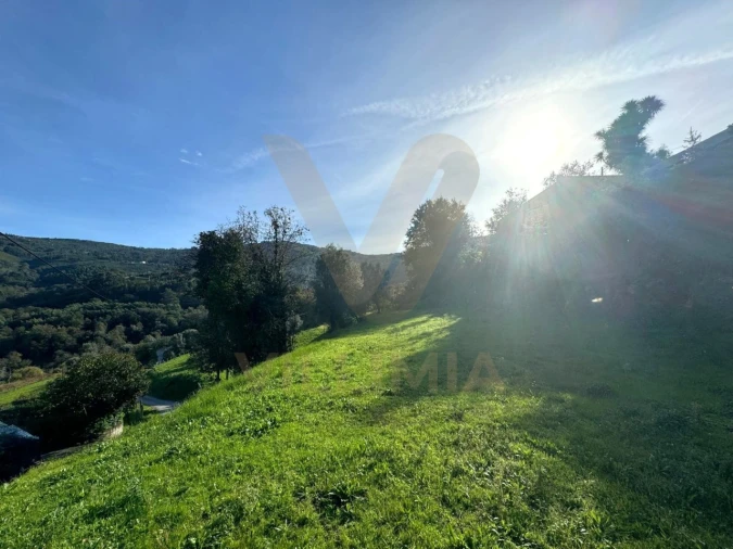 Terreno para Venda em Gondufe Foto 4