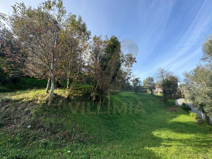 Terreno para Venda em Gondufe Foto 8