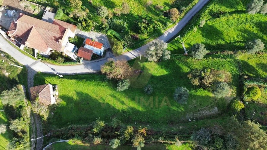 Terreno para Venda em Gondufe Foto 9