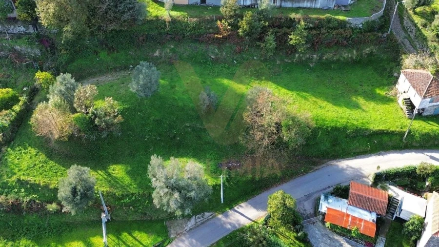 Terreno para Venda em Gondufe Foto 2