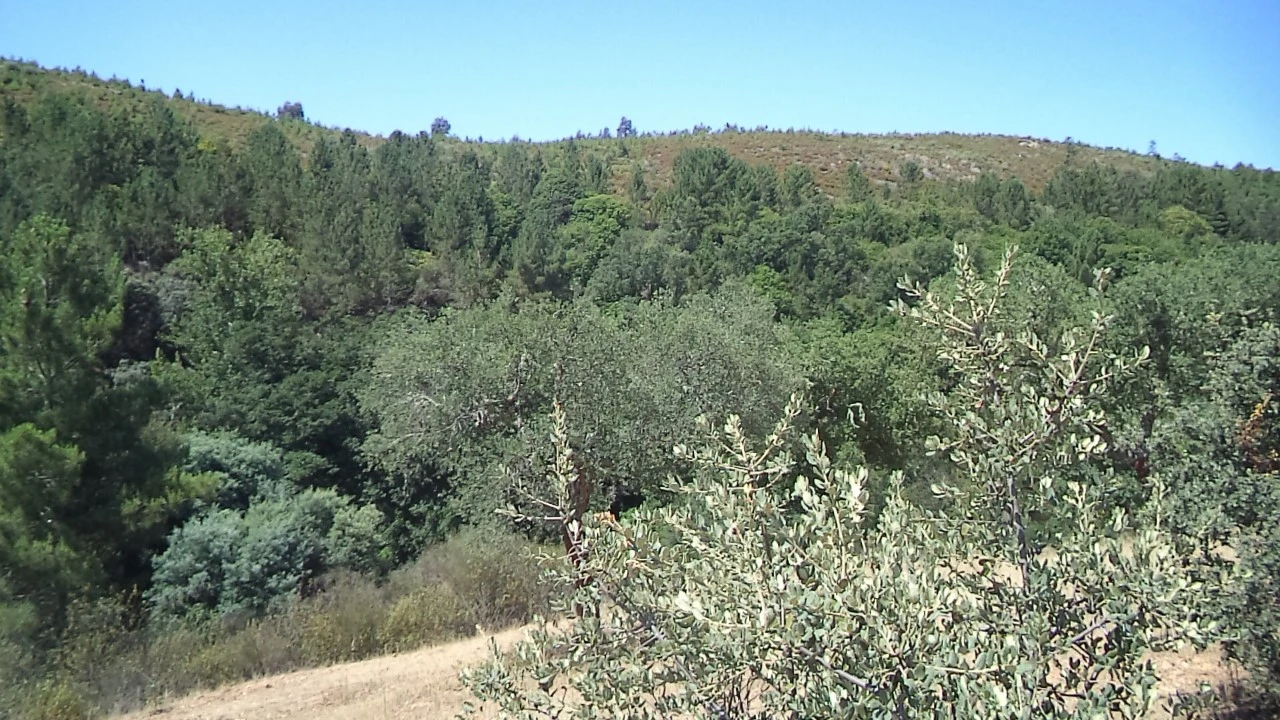 Moradia T2 para Venda em Alegrete Foto 8