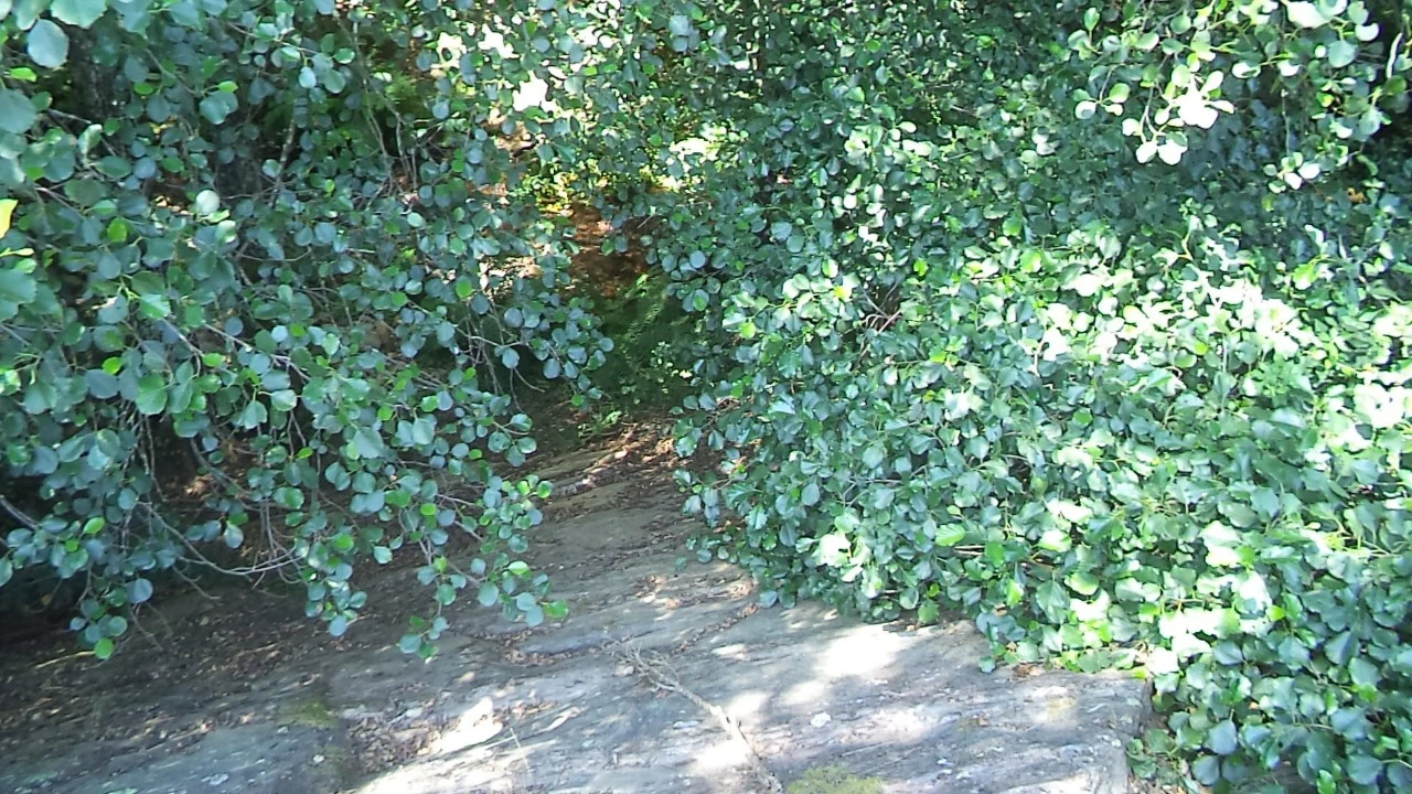 Moradia T2 para Venda em Alegrete Foto 9