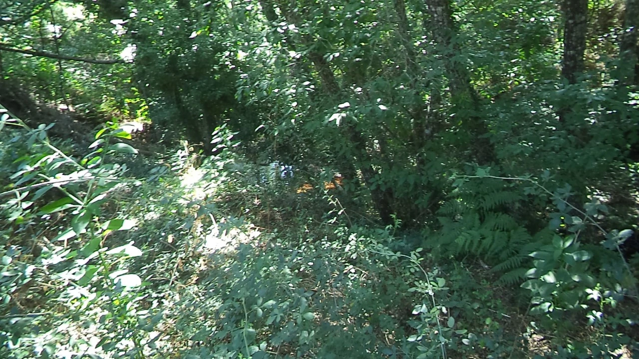 Moradia T2 para Venda em Alegrete Foto 14