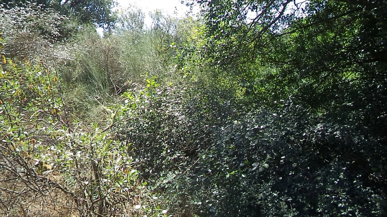 Moradia T2 para Venda em Alegrete Foto 23