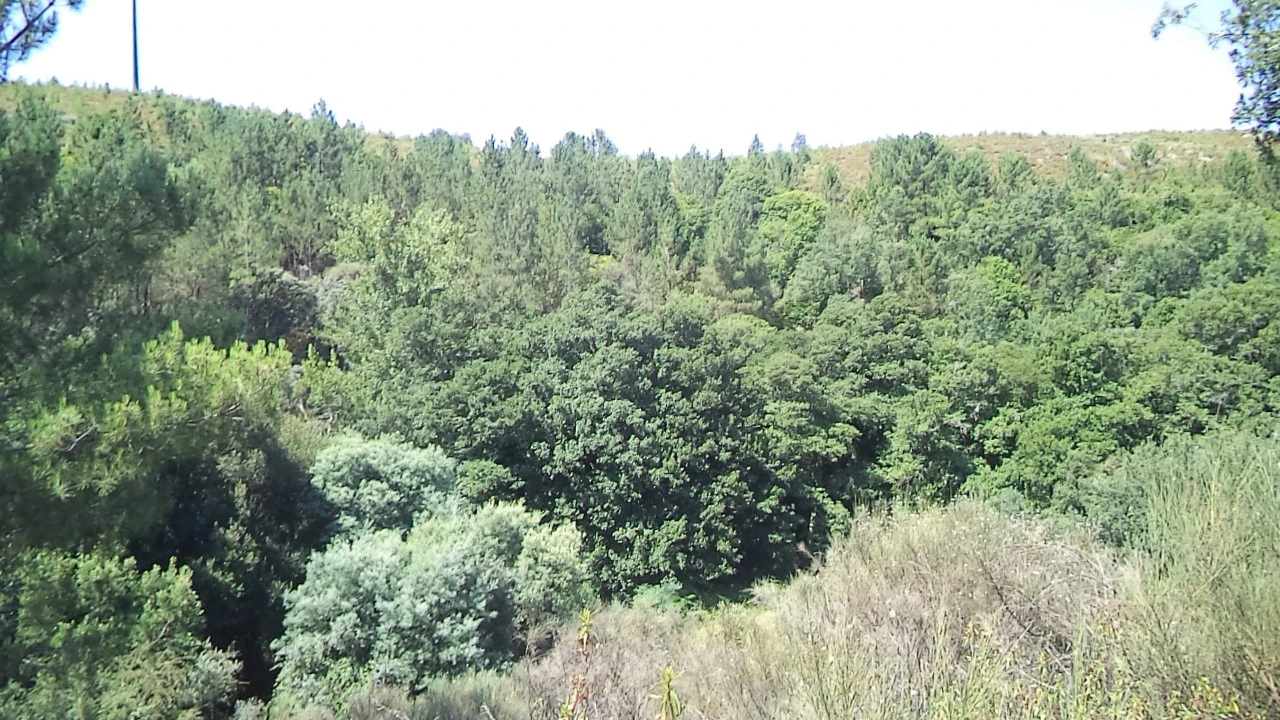 Moradia T2 para Venda em Alegrete Foto 26