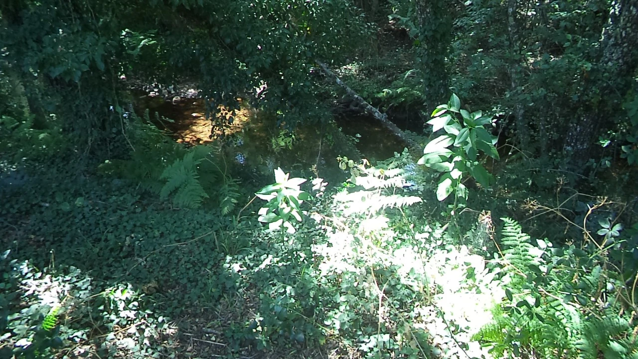 Moradia T2 para Venda em Alegrete Foto 28