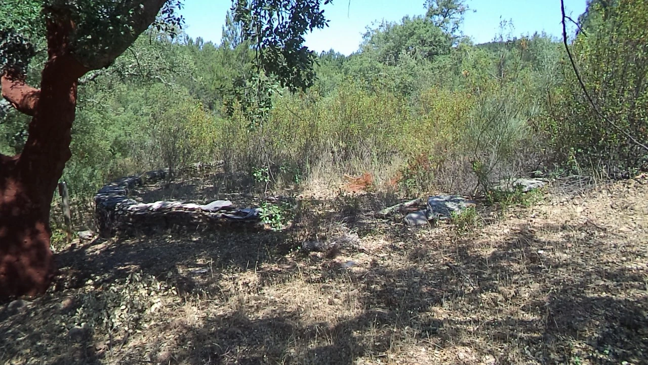 Moradia T2 para Venda em Alegrete Foto 37