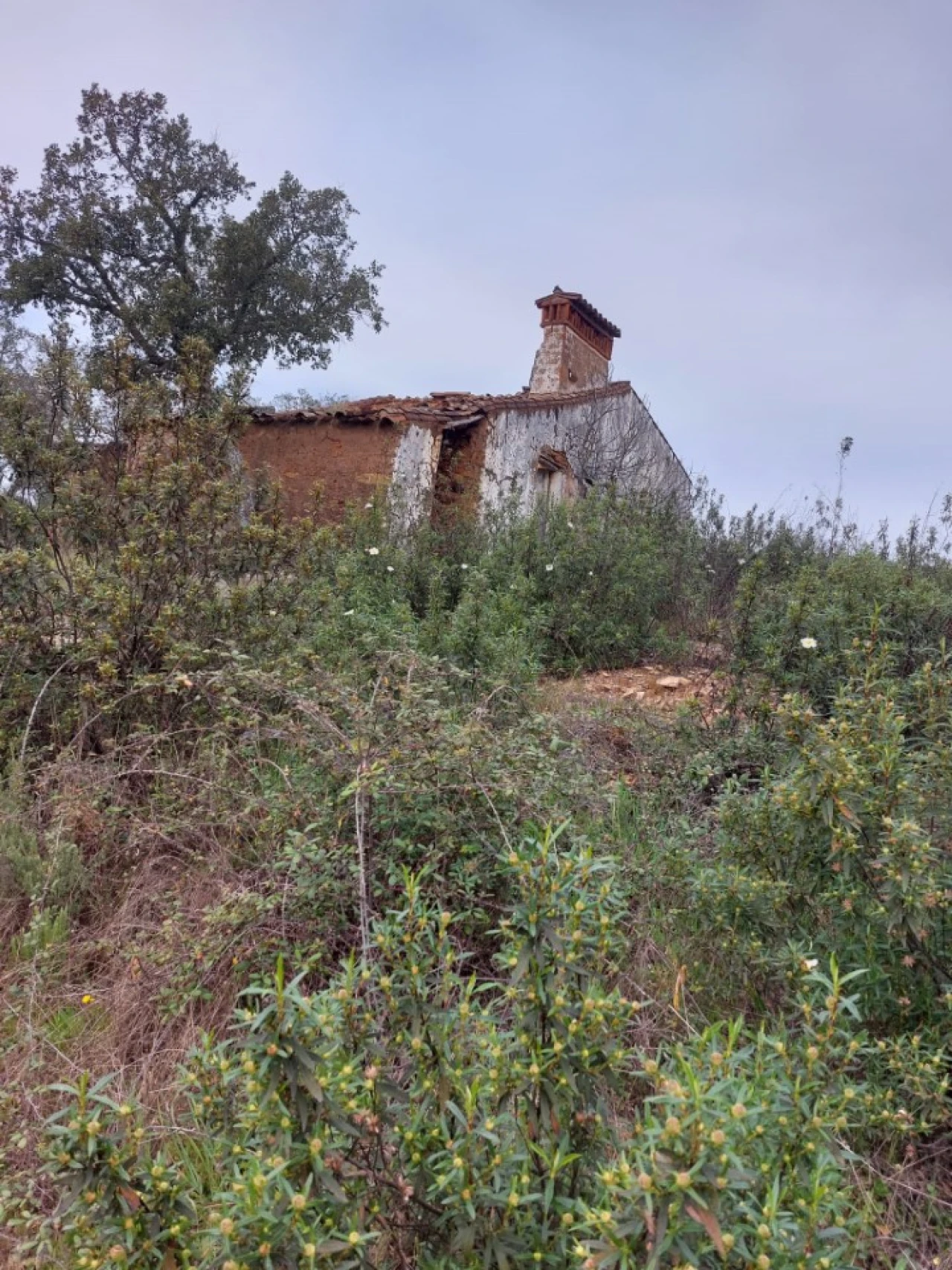 Moradia T2 para Venda em Alegrete Foto 40