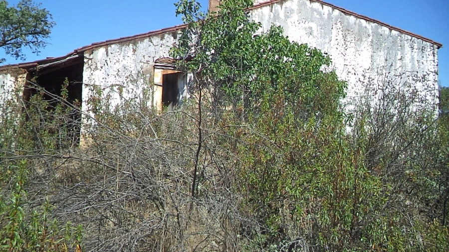 Moradia T2 para Venda em Alegrete Foto 2