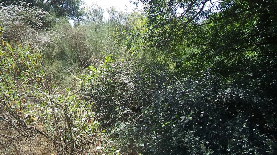 Moradia T2 para Venda em Alegrete Foto 10