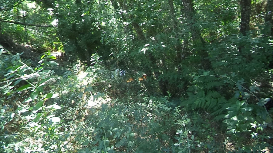 Moradia T2 para Venda em Alegrete Foto 14