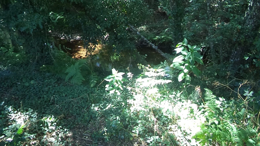 Moradia T2 para Venda em Alegrete Foto 15