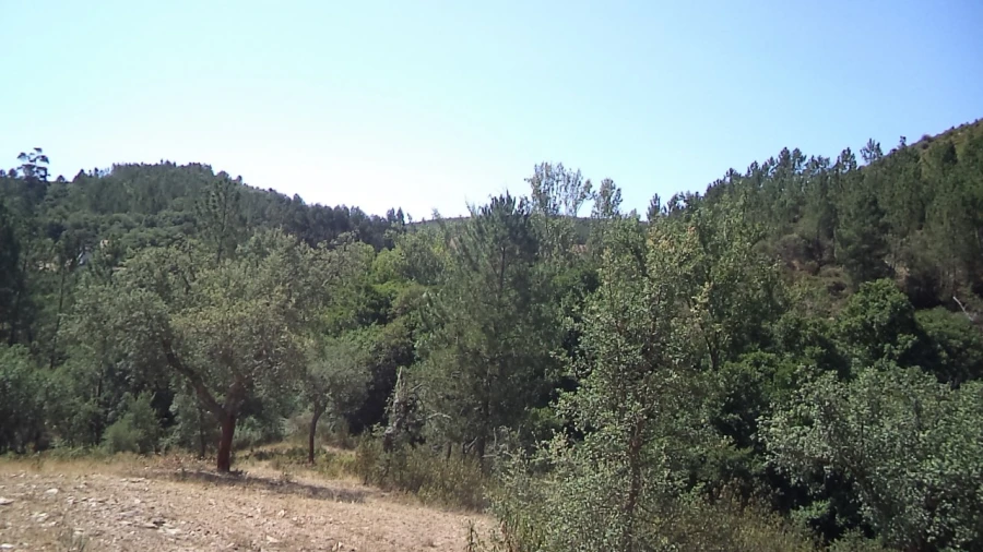 Moradia T2 para Venda em Alegrete Foto 20