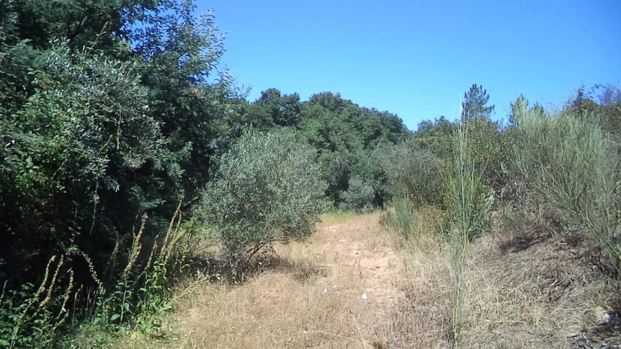 Moradia T2 para Venda em Alegrete Foto 29