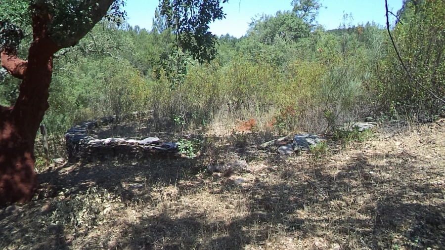 Moradia T2 para Venda em Alegrete Foto 37